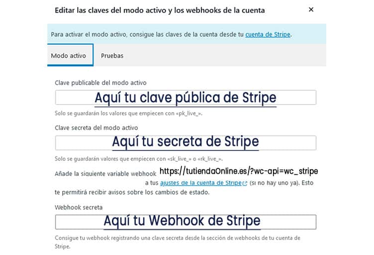 Claves pública y privada, modo activo
